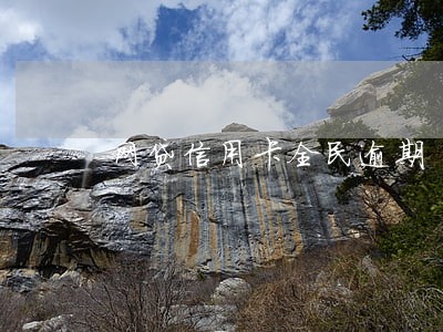 网贷信用卡全民逾期