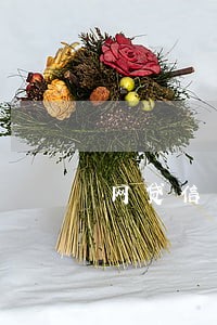 网贷信用卡全逾期 网贷信用卡全逾期
