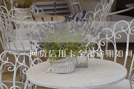 网贷信用卡全部逾期如何上岸