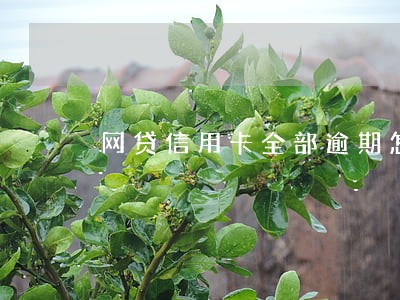 网贷信用卡全部逾期怎么补救 网贷信用卡全部逾期怎么补救