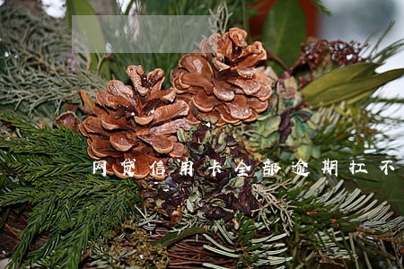 网贷信用卡全部逾期扛不住了