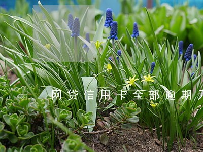 网贷信用卡全部逾期无力偿还被起诉 网贷信用卡全部逾期无力偿还被起诉