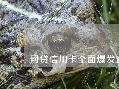 网贷信用卡全面爆发逾期怎么还 网贷信用卡全面爆发逾期怎么还