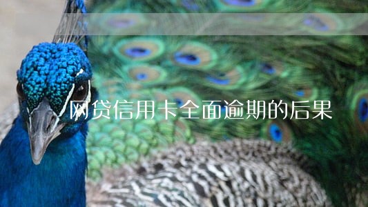 网贷信用卡全面逾期的后果 网贷信用卡全面逾期的后果