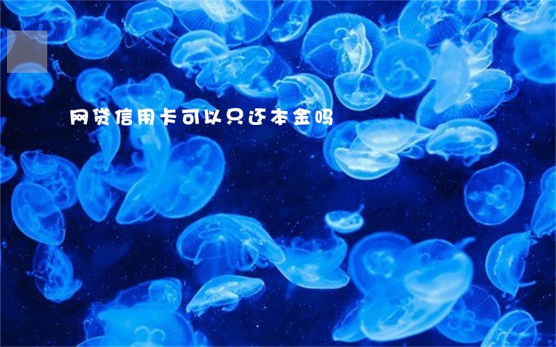 网贷信用卡可以只还本金吗 网贷信用卡可以只还本金吗