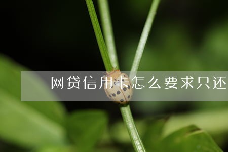 网贷信用卡怎么要求只还本金 网贷信用卡怎么要求只还本金