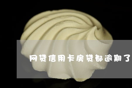 网贷信用卡房贷都逾期了 网贷信用卡房贷都逾期了