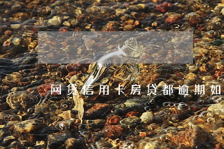网贷信用卡房贷都逾期如何自救 网贷信用卡房贷都逾期如何自救