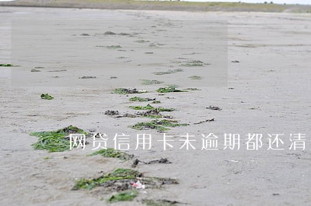 网贷信用卡未逾期都还清 网贷信用卡未逾期都还清