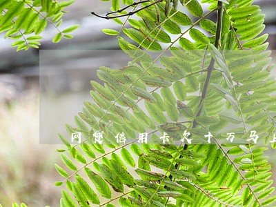 网贷信用卡欠十万马上逾期了 网贷信用卡欠十万马上逾期了