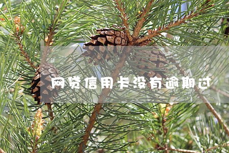 网贷信用卡没有逾期过