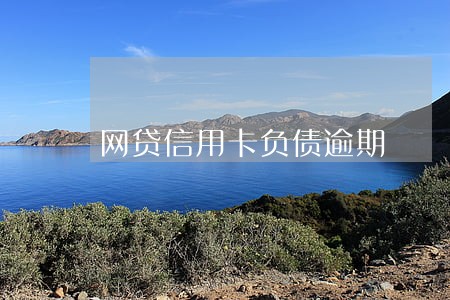 网贷信用卡负债逾期 网贷信用卡负债逾期