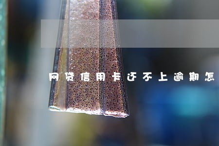 网贷信用卡还不上逾期怎么办 网贷信用卡还不上逾期怎么办