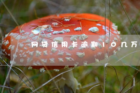 网贷信用卡逾期10几万怎么办