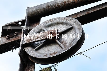 网贷信用卡逾期1年 网贷信用卡逾期1年
