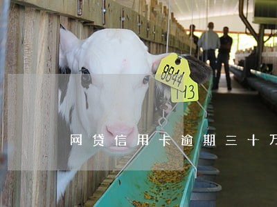 网贷信用卡逾期三十万 网贷信用卡逾期三十万