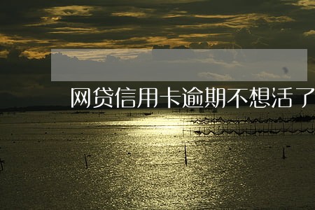 网贷信用卡逾期不想活了