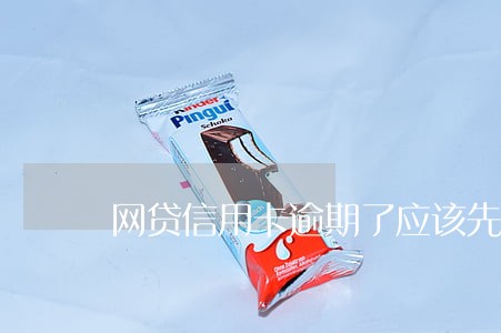 网贷信用卡逾期了应该先还哪个 网贷信用卡逾期了应该先还哪个