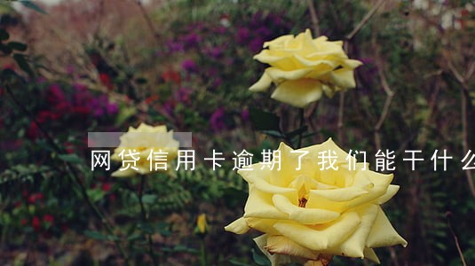 网贷信用卡逾期了我们能干什么 网贷信用卡逾期了我们能干什么