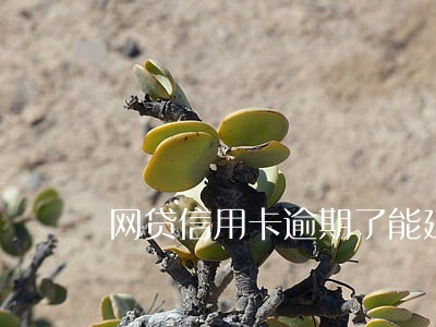 网贷信用卡逾期了能延缓吗 网贷信用卡逾期了能延缓吗