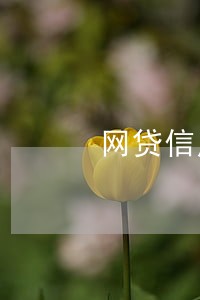 网贷信用卡逾期了还款的顺序是 网贷信用卡逾期了还款的顺序是