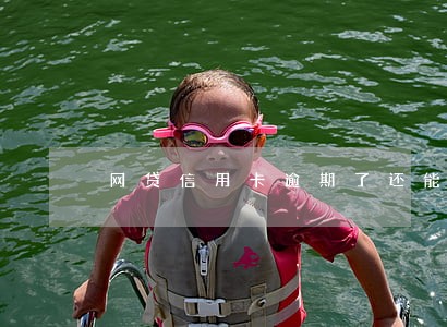 网贷信用卡逾期了还能进厂吗 网贷信用卡逾期了还能进厂吗