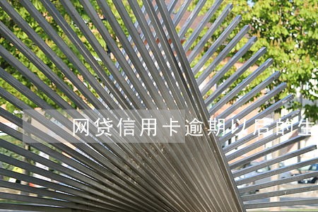 网贷信用卡逾期以后的生活