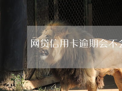 网贷信用卡逾期会不会坐牢