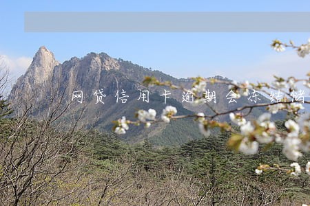 网贷信用卡逾期会冻结储蓄卡吗 网贷信用卡逾期会冻结储蓄卡吗