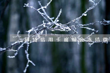 网贷信用卡逾期会冻结微信吗 网贷信用卡逾期会冻结微信吗
