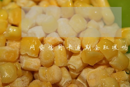 网贷信用卡逾期会取暖吗 网贷信用卡逾期会取暖吗