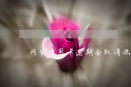 网贷信用卡逾期会取消低保吗 网贷信用卡逾期会取消低保吗