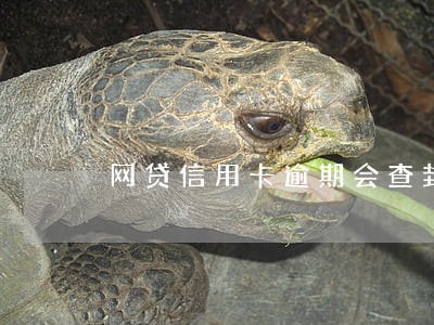 网贷信用卡逾期会查封房子吗 网贷信用卡逾期会查封房子吗
