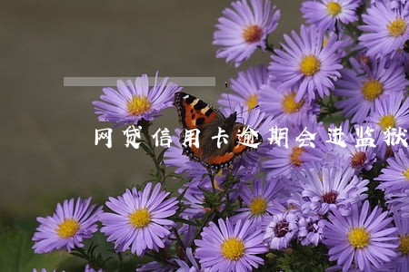 网贷信用卡逾期会进监狱吗 网贷信用卡逾期会进监狱吗