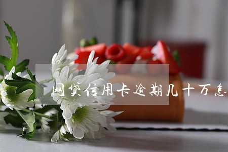 网贷信用卡逾期几十万怎么上岸 网贷信用卡逾期几十万怎么上岸