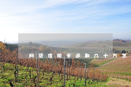 网贷信用卡逾期几十万怎么办