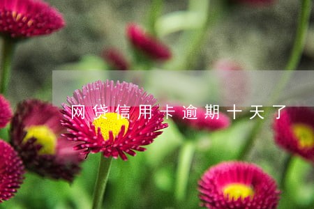 网贷信用卡逾期十天了 网贷信用卡逾期十天了
