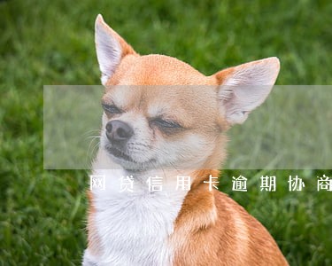 网贷信用卡逾期协商软件 网贷信用卡逾期协商软件