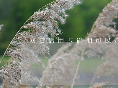 网贷信用卡逾期可以注册公司 网贷信用卡逾期可以注册公司