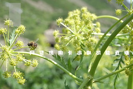 网贷信用卡逾期可能直播吗 网贷信用卡逾期可能直播吗