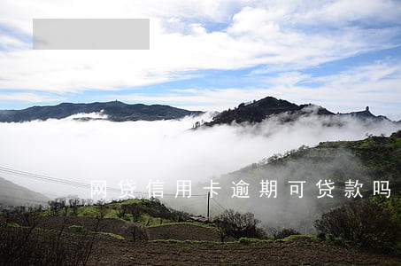 网贷信用卡逾期可贷款吗