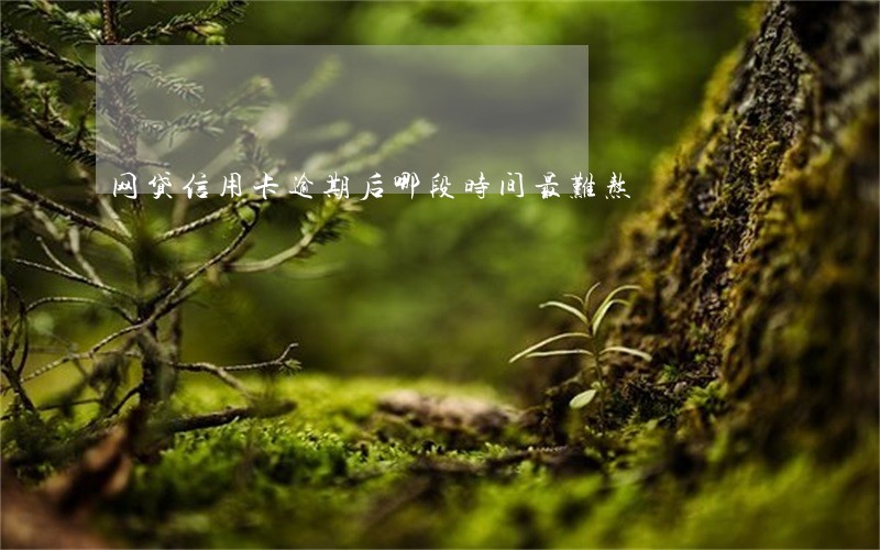 网贷信用卡逾期后哪段时间最难熬 网贷信用卡逾期后哪段时间最难熬