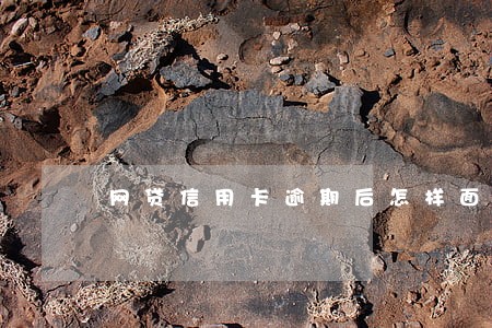 网贷信用卡逾期后怎样面对催收 网贷信用卡逾期后怎样面对催收