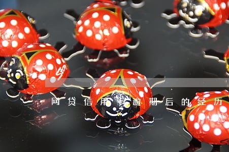 网贷信用卡逾期后的经历