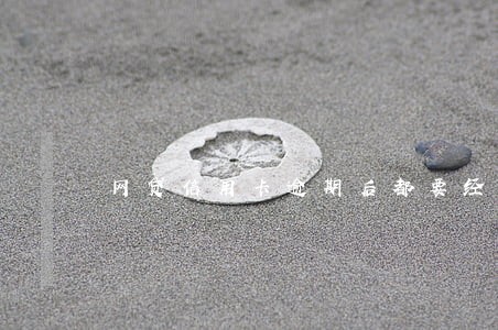 网贷信用卡逾期后都要经历什么 网贷信用卡逾期后都要经历什么