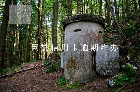 网贷信用卡逾期咋办