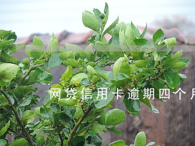 网贷信用卡逾期四个月 网贷信用卡逾期四个月