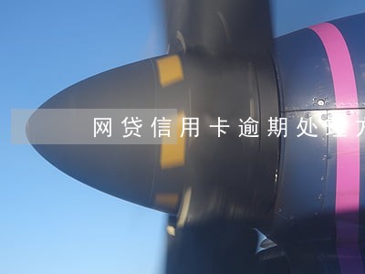 网贷信用卡逾期处理方案2020 网贷信用卡逾期处理方案2020