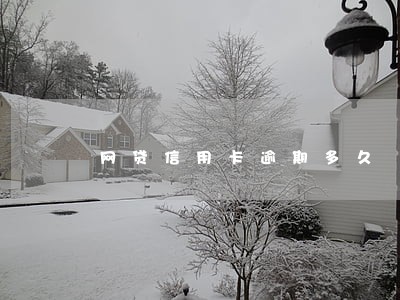网贷信用卡逾期多久