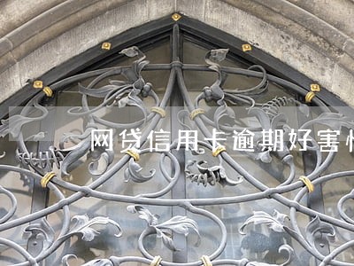 网贷信用卡逾期好害怕怎么办